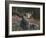 Recumbent Moose-Kevin Daniel-Framed Art Print