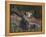 Recumbent Moose-Kevin Daniel-Framed Stretched Canvas