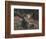 Recumbent Moose-Kevin Daniel-Framed Art Print