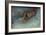 Recumbent Nude-Vincent van Gogh-Framed Giclee Print