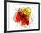 Red Abstract Brush Splash Flower II-Irena Orlov-Framed Premium Giclee Print