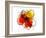 Red Abstract Brush Splash Flower II-Irena Orlov-Framed Art Print