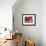 Red Abstract-Leigh Banks-Framed Premium Giclee Print displayed on a wall