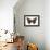 Red Admiral Butterfly (Vanessa Atalanta), Insects-Encyclopaedia Britannica-Framed Stretched Canvas displayed on a wall