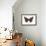 Red Admiral Butterfly (Vanessa Atalanta), Insects-Encyclopaedia Britannica-Framed Art Print displayed on a wall