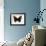 Red Admiral Butterfly-Lizzie Harper-Framed Photographic Print displayed on a wall