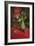 Red Alcove with Daisies (Oil on Canvas)-Susan Ryder-Framed Giclee Print