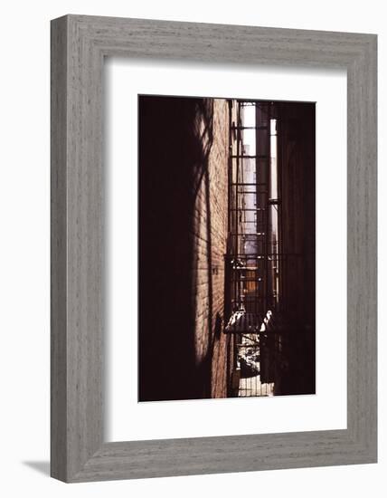 Red Alley-Evan Morris Cohen-Framed Photographic Print