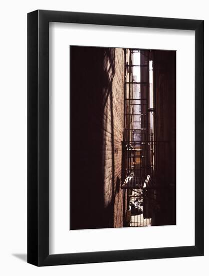 Red Alley-Evan Morris Cohen-Framed Photographic Print