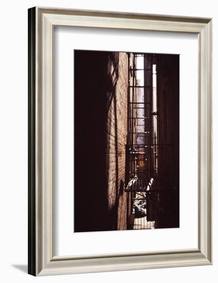 Red Alley-Evan Morris Cohen-Framed Photographic Print