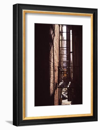 Red Alley-Evan Morris Cohen-Framed Photographic Print