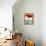 Red Amaryllis 2-Christopher Ryland-Framed Premier Image Canvas displayed on a wall