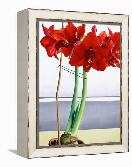 Red Amaryllis 2-Christopher Ryland-Framed Premier Image Canvas