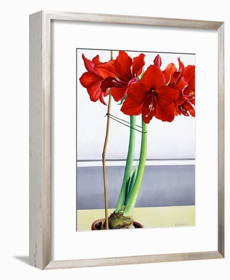 Red Amaryllis 2-Christopher Ryland-Framed Giclee Print