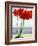 Red Amaryllis 2-Christopher Ryland-Framed Giclee Print