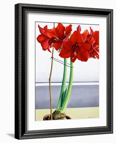 Red Amaryllis 2-Christopher Ryland-Framed Giclee Print