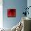 Red Amaryllis Abstract-Anna Miller-Framed Premier Image Canvas displayed on a wall