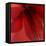 Red Amaryllis Abstract-Anna Miller-Framed Premier Image Canvas