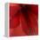 Red Amaryllis Abstract-Anna Miller-Framed Premier Image Canvas