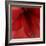 Red Amaryllis Abstract-Anna Miller-Framed Photographic Print