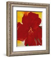 Red Amaryllis, c.1937-Georgia O'Keeffe-Framed Art Print