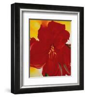 Red Amaryllis, c.1937-Georgia O'Keeffe-Framed Art Print