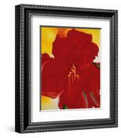 Red Amaryllis, c.1937-Georgia O'Keeffe-Framed Art Print