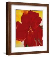 Red Amaryllis, c.1937-Georgia O'Keeffe-Framed Art Print