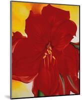 Red Amaryllis, c.1937-Georgia O'Keeffe-Mounted Art Print