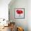 Red Amaryllis-Christopher Ryland-Framed Giclee Print displayed on a wall