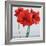 Red Amaryllis-Christopher Ryland-Framed Giclee Print