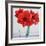 Red Amaryllis-Christopher Ryland-Framed Giclee Print