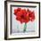 Red Amaryllis-Christopher Ryland-Framed Giclee Print