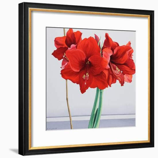 Red Amaryllis-Christopher Ryland-Framed Giclee Print