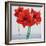 Red Amaryllis-Christopher Ryland-Framed Giclee Print