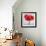 Red Amaryllis-Christopher Ryland-Framed Giclee Print displayed on a wall