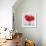 Red Amaryllis-Christopher Ryland-Framed Giclee Print displayed on a wall