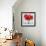 Red Amaryllis-Christopher Ryland-Framed Giclee Print displayed on a wall