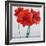 Red Amaryllis-Christopher Ryland-Framed Giclee Print