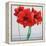 Red Amaryllis-Christopher Ryland-Framed Premier Image Canvas