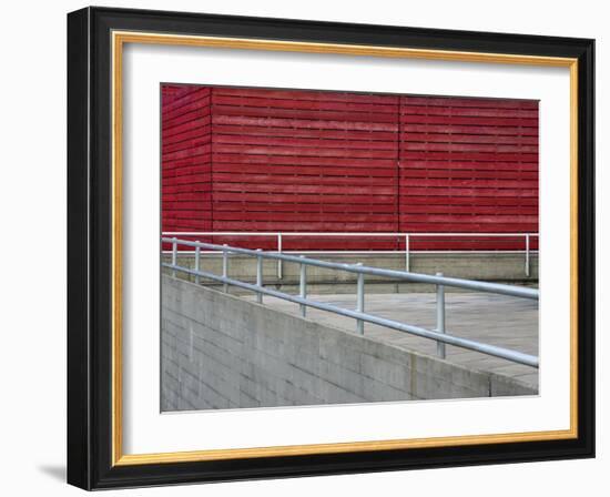 Red and Blue Lines-Adrian Campfield-Framed Photographic Print