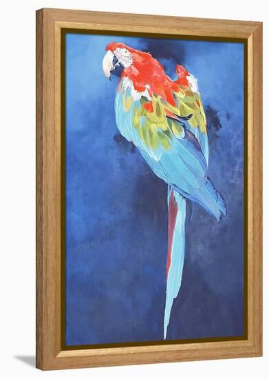 Red and Blue Macaw, 2002-Odile Kidd-Framed Premier Image Canvas