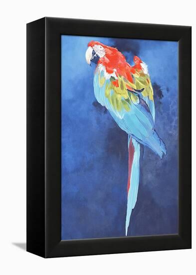 Red and Blue Macaw, 2002-Odile Kidd-Framed Premier Image Canvas
