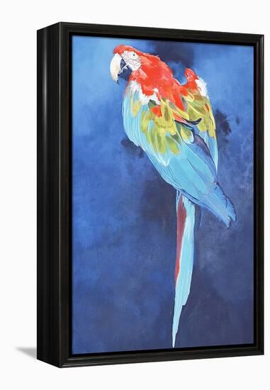 Red and Blue Macaw, 2002-Odile Kidd-Framed Premier Image Canvas