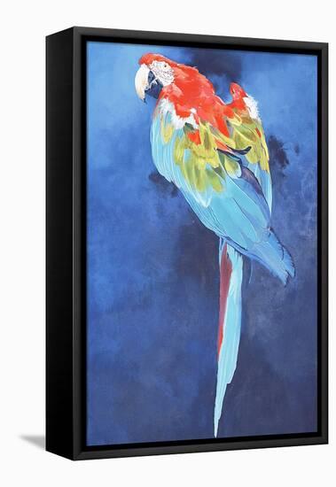 Red and Blue Macaw, 2002-Odile Kidd-Framed Premier Image Canvas