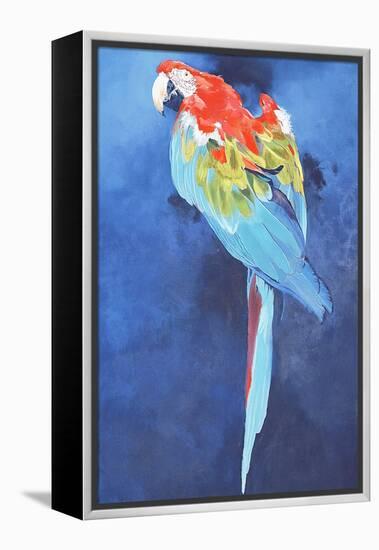 Red and Blue Macaw, 2002-Odile Kidd-Framed Premier Image Canvas