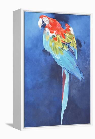 Red and Blue Macaw, 2002-Odile Kidd-Framed Premier Image Canvas