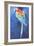 Red and Blue Macaw, 2002-Odile Kidd-Framed Giclee Print