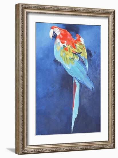 Red and Blue Macaw, 2002-Odile Kidd-Framed Giclee Print