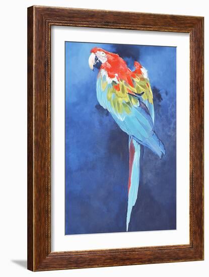 Red and Blue Macaw, 2002-Odile Kidd-Framed Giclee Print